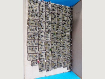 Image 1 of 9