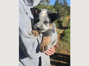 Image 1 of 20