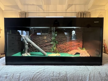 Image 1 of 7