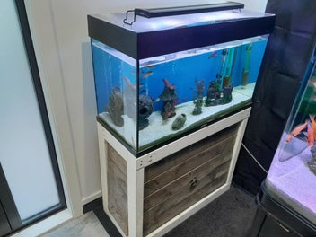 Image 1 of 7