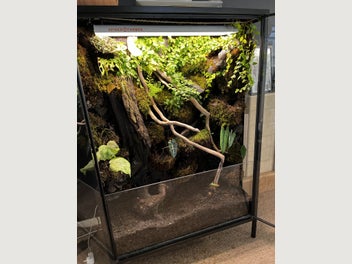 Image 1 of 7