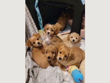 Image 1 of 20