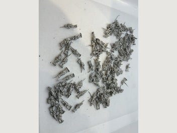 Image 1 of 11