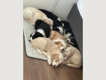 Image 1 of 18