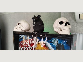 Image 1 of 20