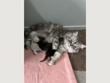 Image 1 of 10