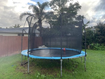 Image 1 of 1