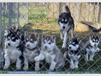 Image 1 of 7