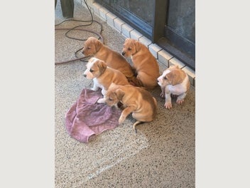 Image 1 of 13