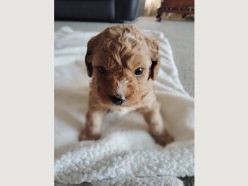 Image 1 of 11