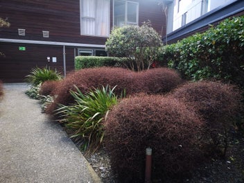 Image 1 of 5