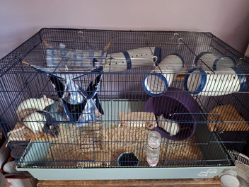 Image 1 of 5