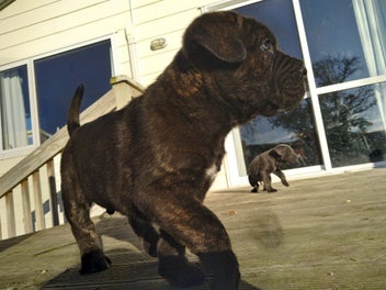 Image 1 of 5