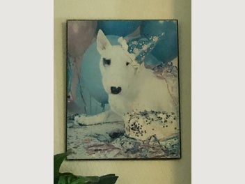 Image 1 of 2
