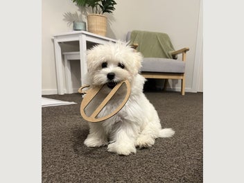 Image 1 of 4
