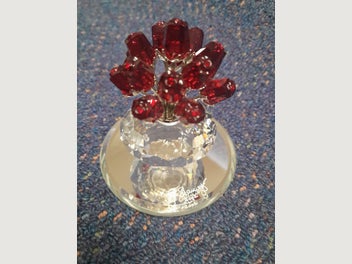 Image 1 of 7