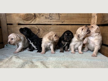 Image 1 of 15