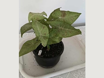 Image 1 of 3