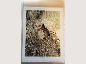 Image 1 of 14