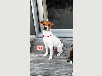 Image 1 of 7