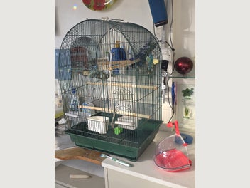 Image 1 of 3