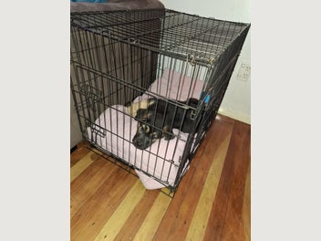 Image 1 of 11