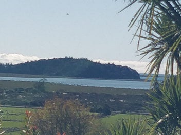 Image 1 of 20