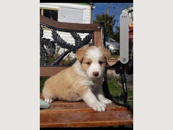 Image 1 of 10