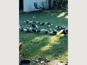 Image 1 of 6