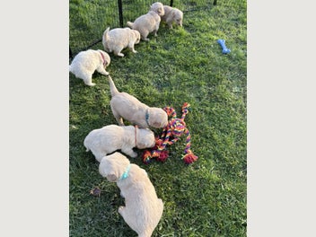 Image 1 of 17