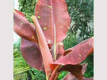 Image 1 of 9