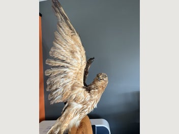 Image 1 of 14