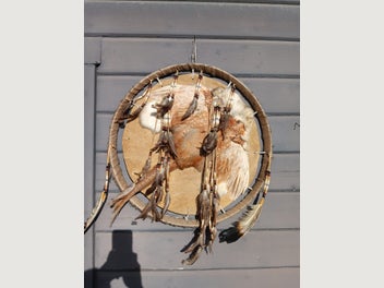 Image 1 of 10