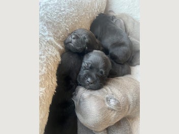 Image 1 of 14