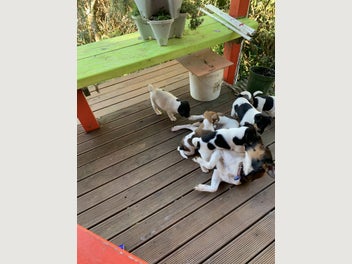 Image 1 of 3