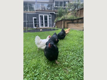 Image 1 of 8