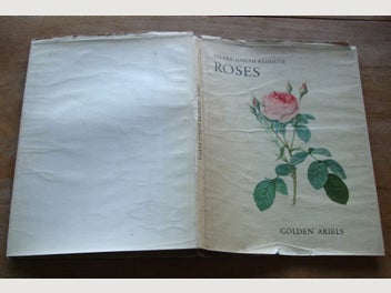 Image 1 of 12