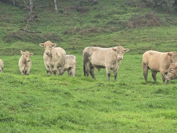 Image 1 of 8