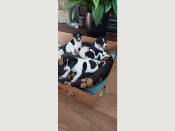 Image 1 of 8