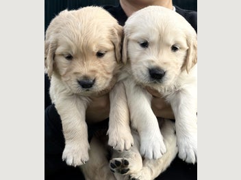 Image 1 of 11