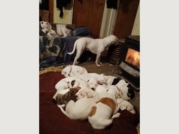 Image 1 of 8