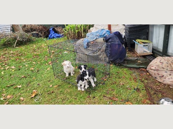 Image 1 of 10