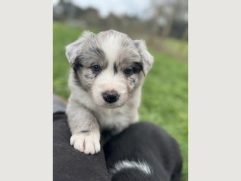 Image 1 of 19