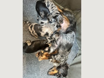Image 1 of 19