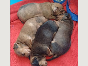 Image 1 of 12