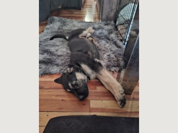 Image 1 of 16