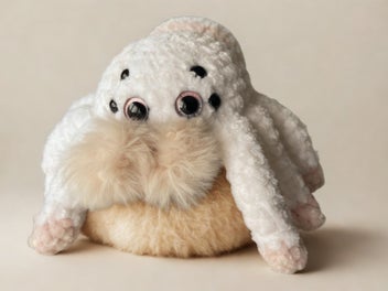 Image 1 of 3