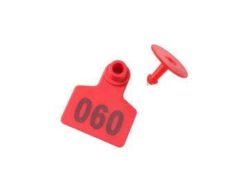 Image 1 of 10