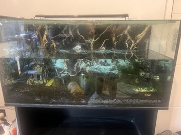 Image 1 of 15