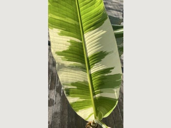 Image 1 of 14